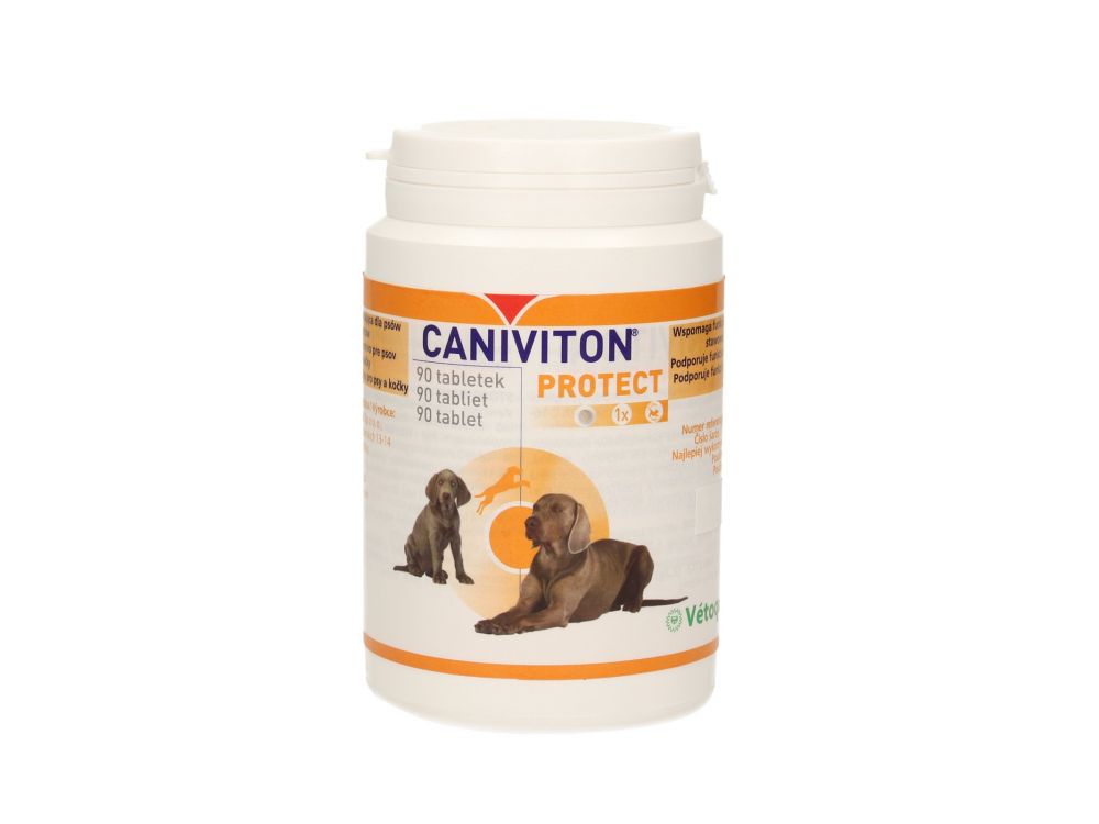 CANIVITON PROTECT 90 TAB.