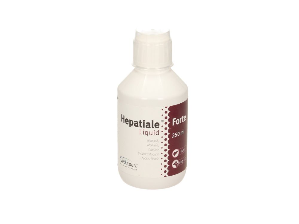 HEPATIALE FORTE LIQUID 250 ML