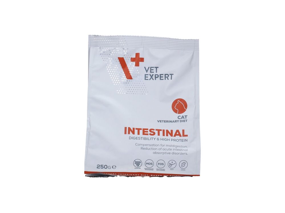 4T VETERINARY DIET CAT INTESTINAL 250 G